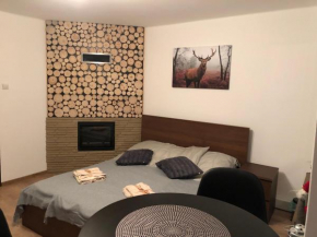 Apartamenty Antoś i Gabrysia